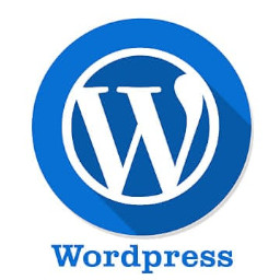 توسعه هسته وردپرس